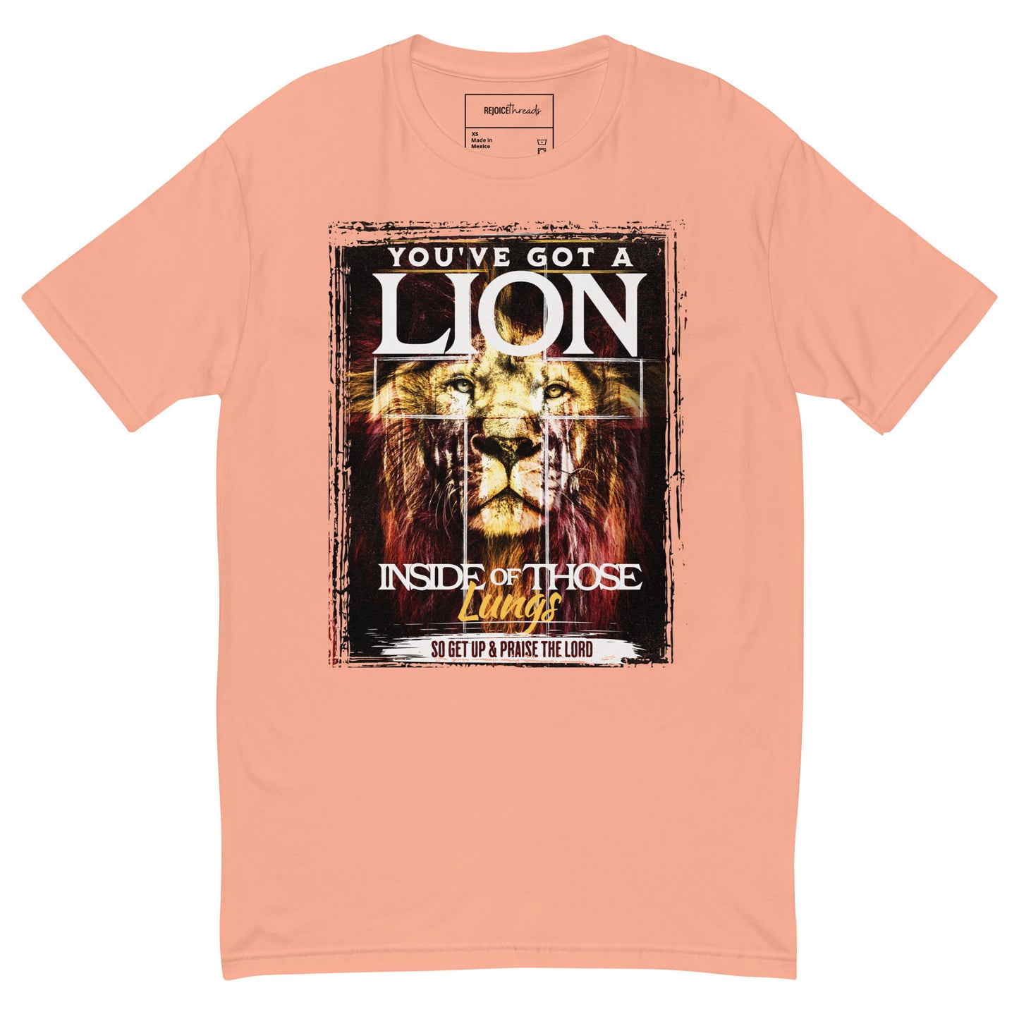 Lion Inside - Praise the Lord Tee